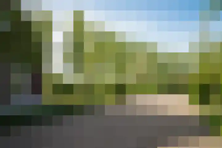 Oetelaarsestraat 59 Schijndel thumbnail 56