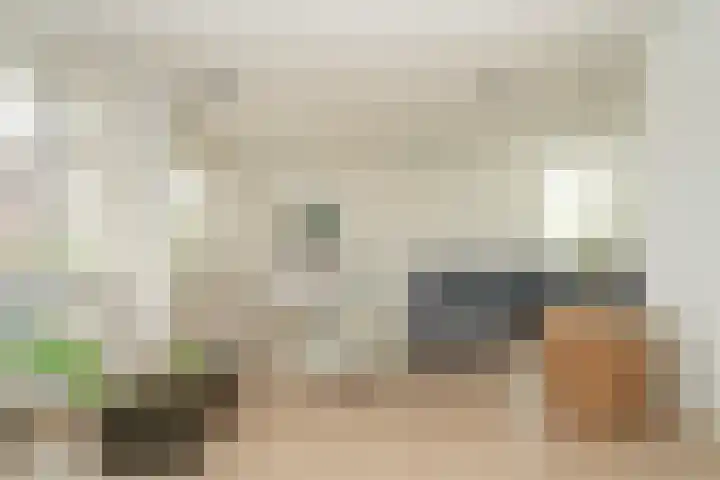 Oetelaarsestraat 59 Schijndel thumbnail 6