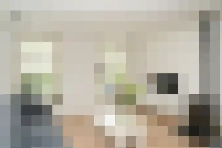 Oetelaarsestraat 59 Schijndel thumbnail 8