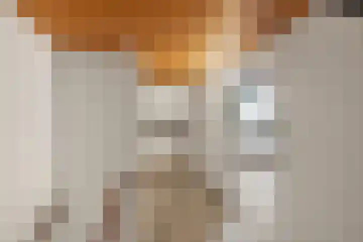 Oetewaal 21 Nieuw-Vennep thumbnail 22