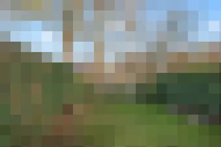 Oetewaal 21 Nieuw-Vennep thumbnail 9