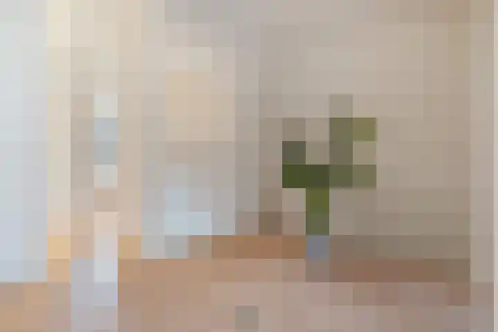 Oetewalerstraat 30 2 Amsterdam thumbnail 6