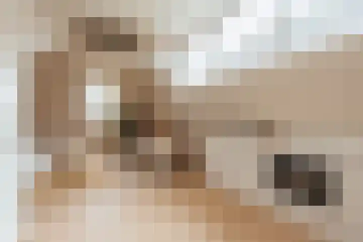 Oetewalerstraat 40 4 Amsterdam thumbnail 18