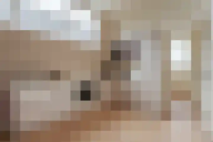 Oetewalerstraat 40 4 Amsterdam thumbnail 6