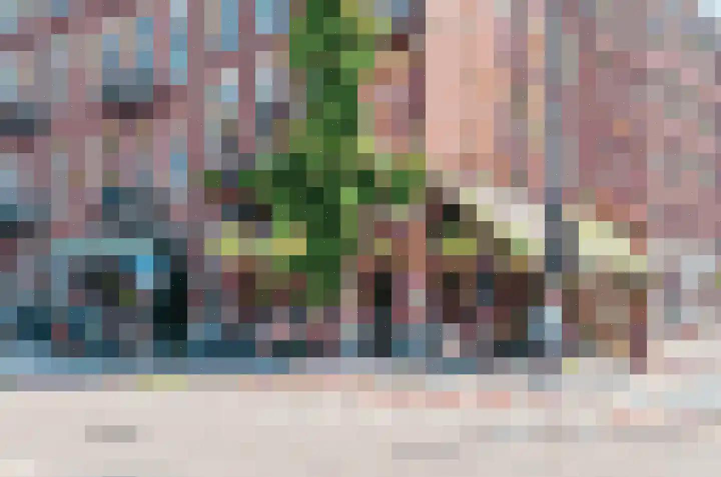 Oetewalerstraat 44 1 Amsterdam thumbnail 19