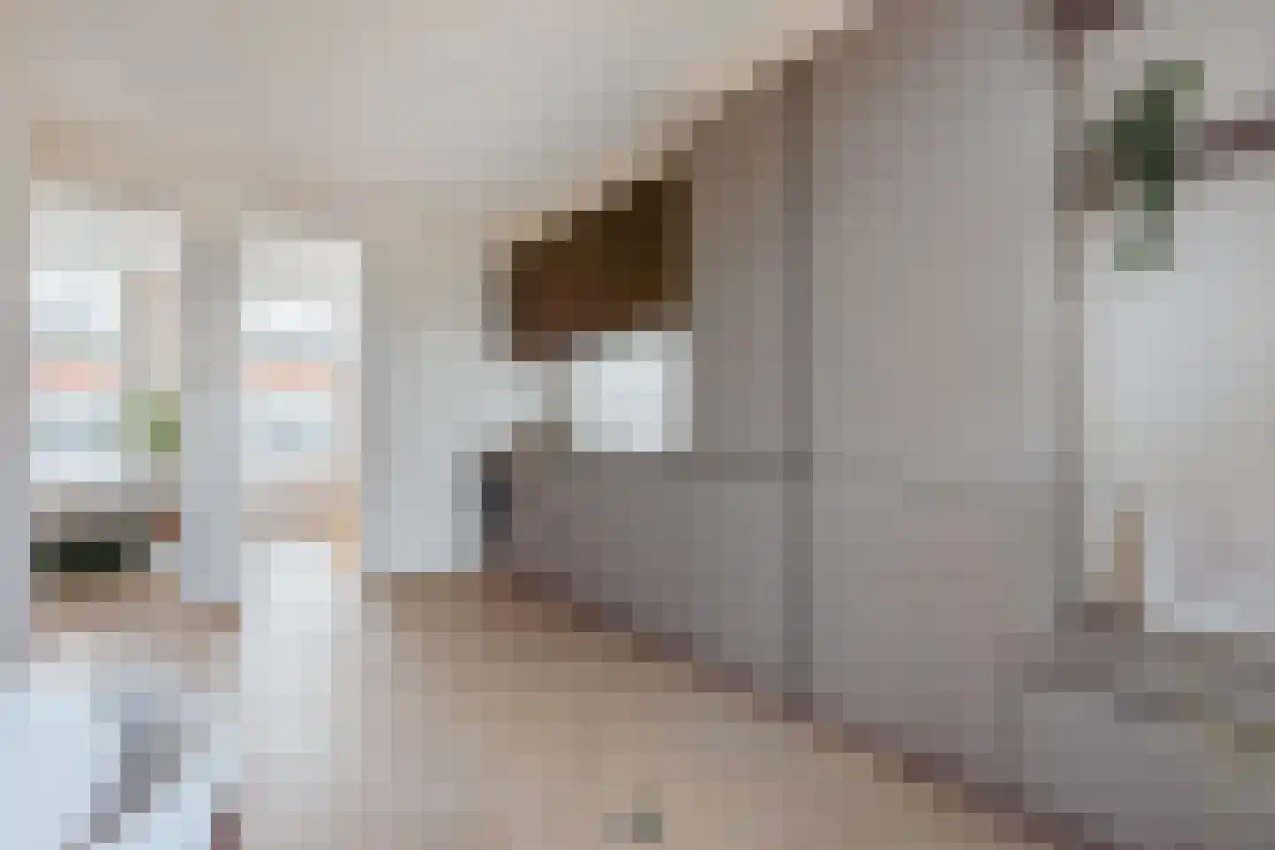 Oetewalerstraat 44 1 Amsterdam thumbnail 6