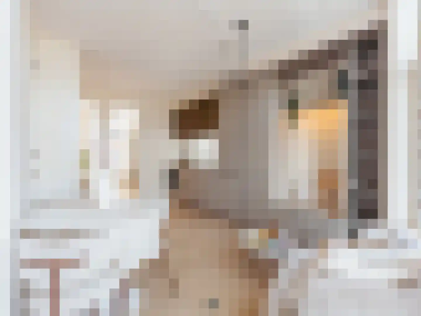 Oetewalerstraat 44 2 Amsterdam thumbnail 5