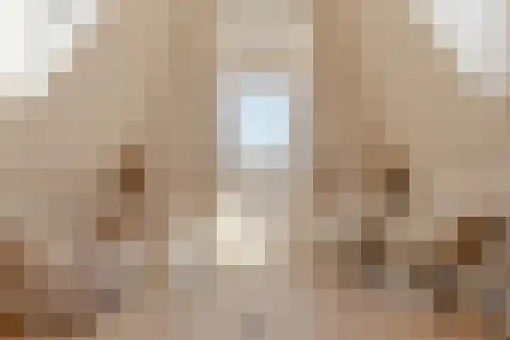 Oetewalerstraat 44 4 Amsterdam thumbnail 5