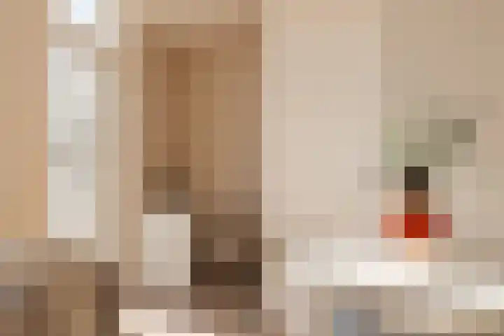 Oetewalerstraat 44 H Amsterdam thumbnail 10