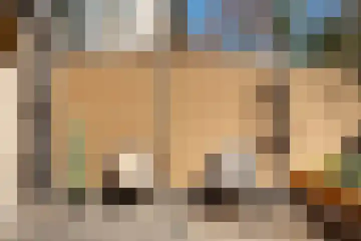 Oetewalerstraat 44 H Amsterdam thumbnail 21