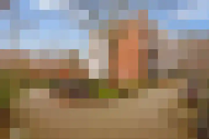 Oetewalerstraat 99 Amsterdam thumbnail 31