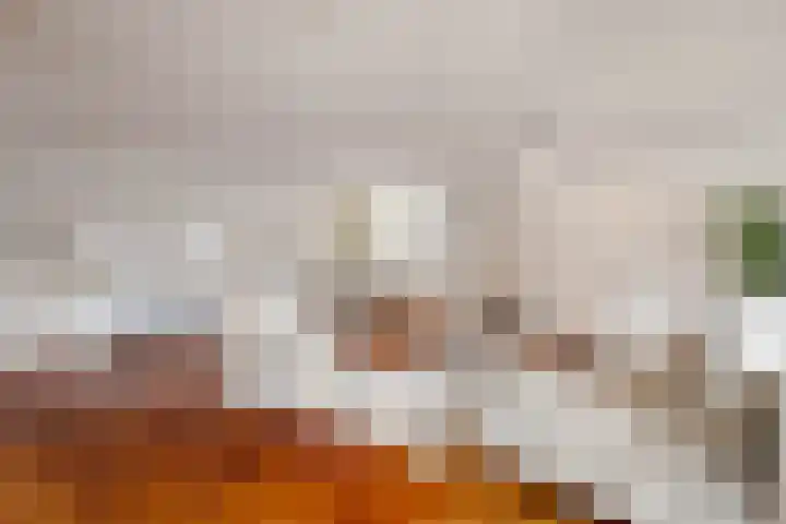 Oetewalerstraat 99 Amsterdam thumbnail 6