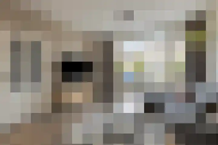 Oetgensstraat 5 Heerhugowaard thumbnail 17