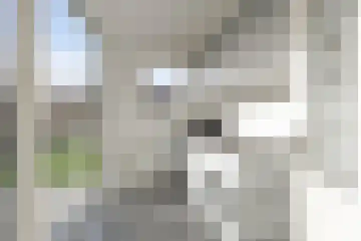 Oetgensstraat 5 Heerhugowaard thumbnail 30