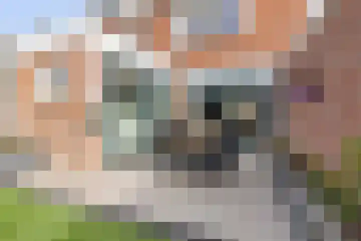 Oetgensstraat 5 Heerhugowaard thumbnail 53