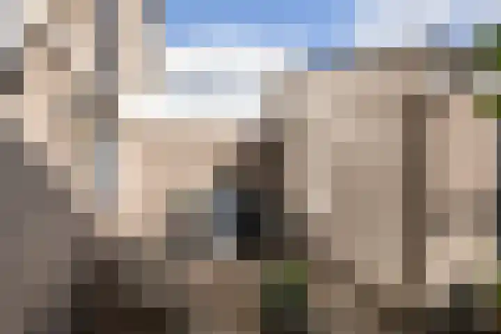 Oever 35 Schiedam thumbnail 35