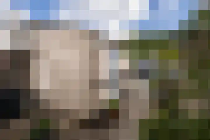 Oever 35 Schiedam thumbnail 36