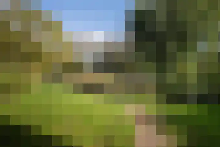 Oever 35 Schiedam thumbnail 40