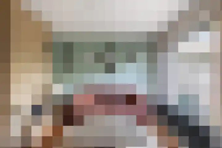 Oever 35 Schiedam thumbnail 9