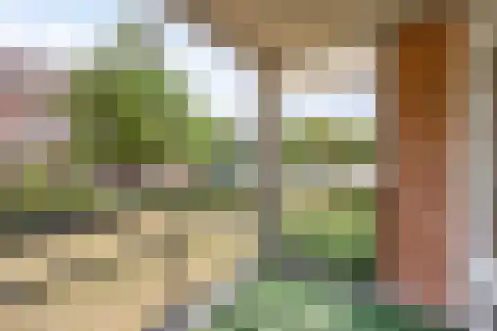 Oever 37 Brielle thumbnail 15