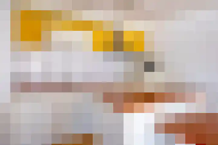Oever 37 Brielle thumbnail 6