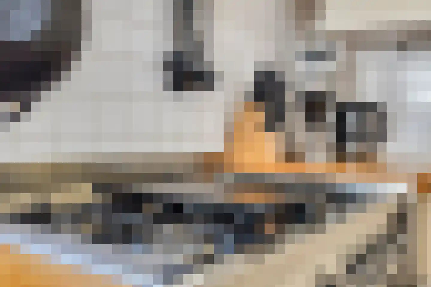 Oever 37 Schiedam thumbnail 11