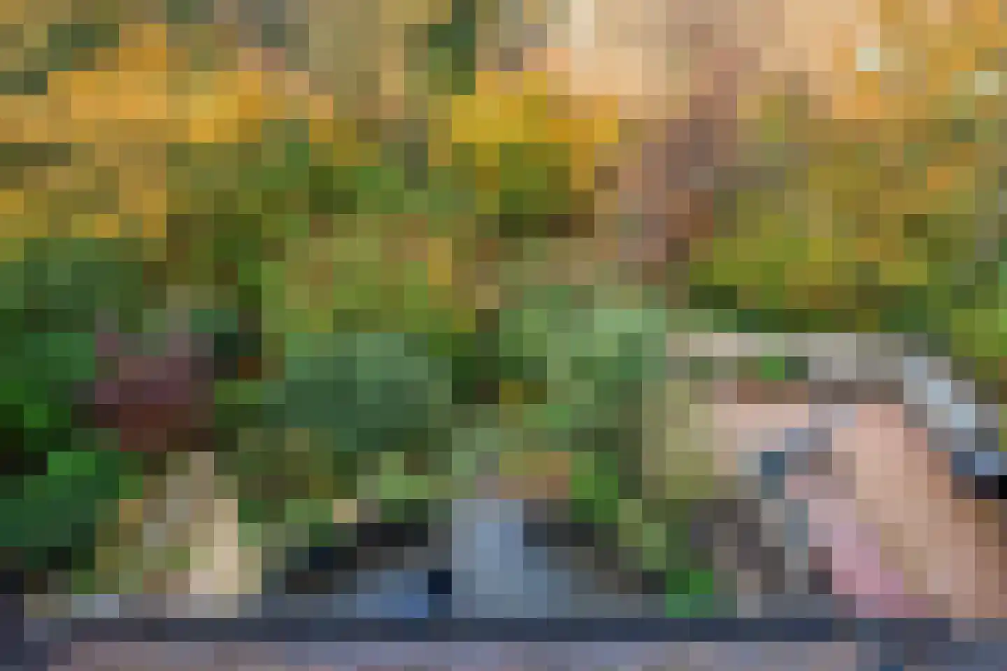 Oever 37 Schiedam thumbnail 33