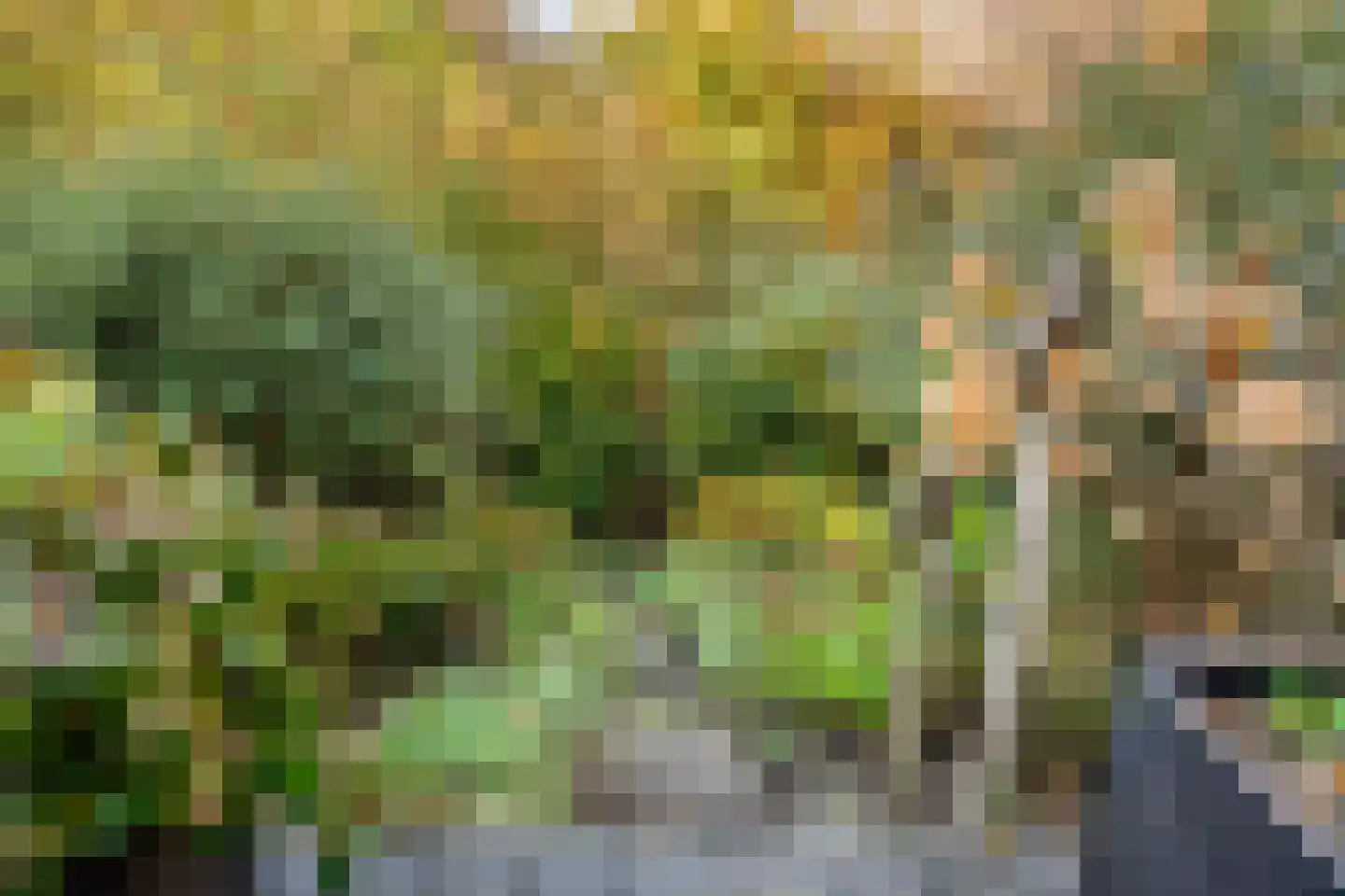Oever 37 Schiedam thumbnail 35