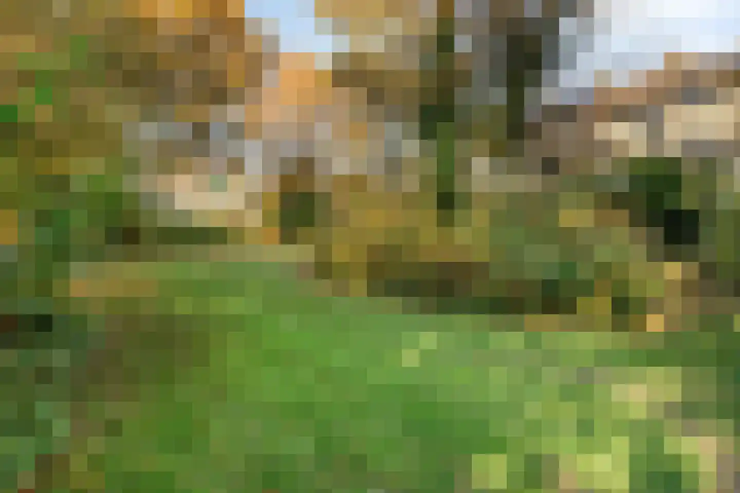 Oever 37 Schiedam thumbnail 36