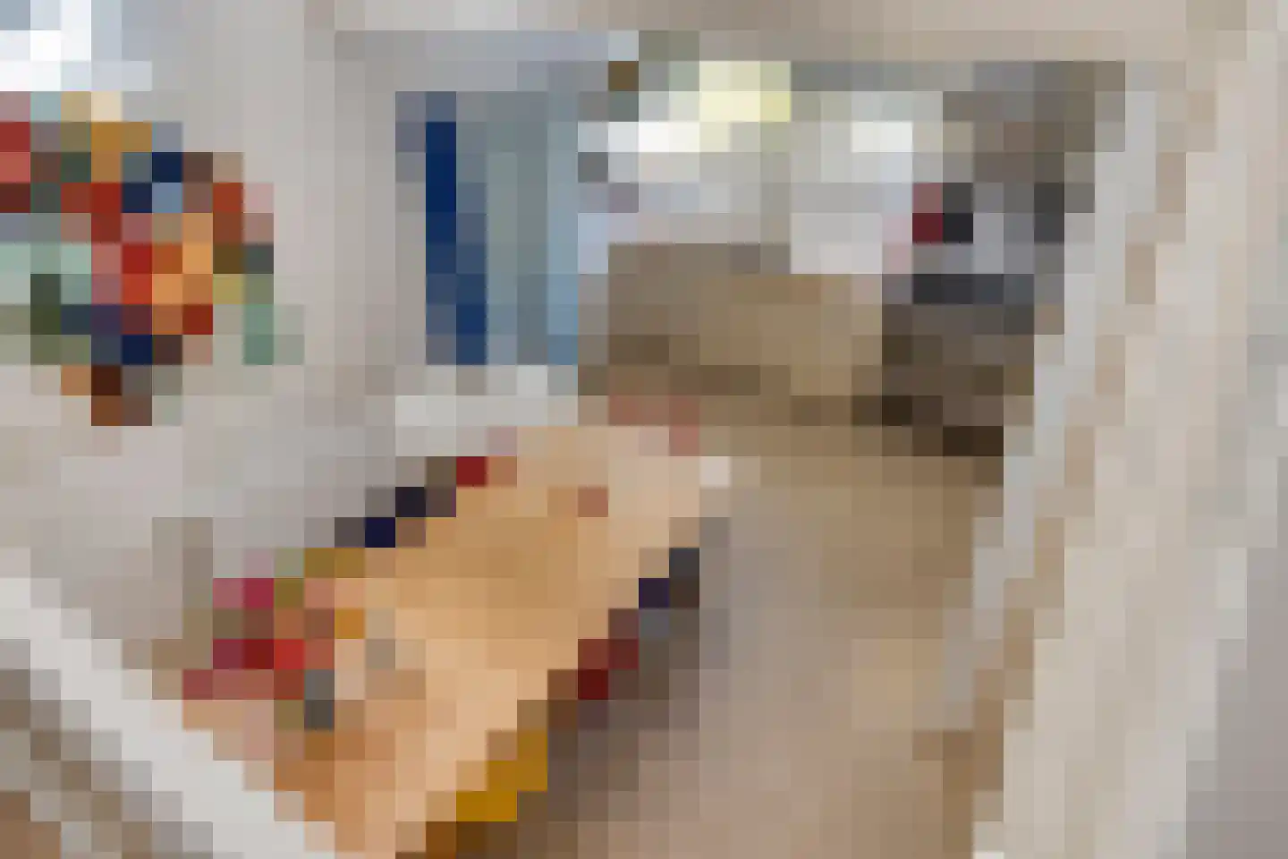 Oever 37 Schiedam thumbnail 4