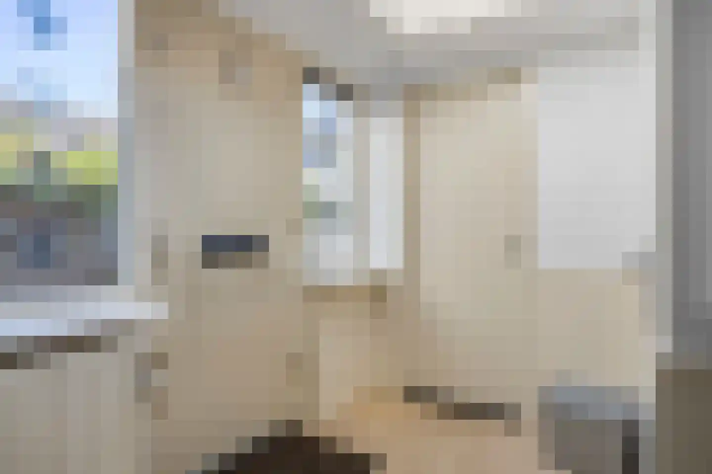 Oever 37 Schiedam thumbnail 5