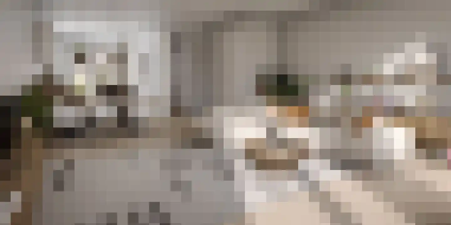 Oever 40 Maassluis thumbnail 4