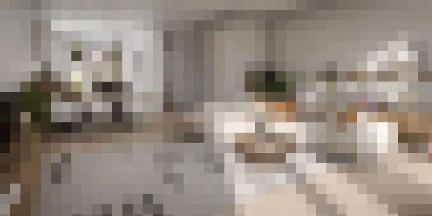 Oever 48 Maassluis thumbnail 4