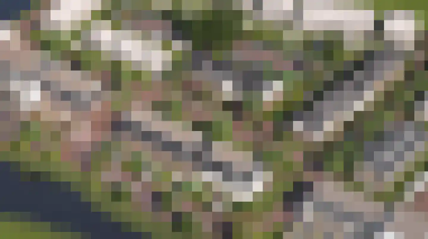 Oever 48 Maassluis thumbnail 5
