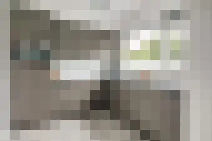 Oever 56 Brielle thumbnail 11