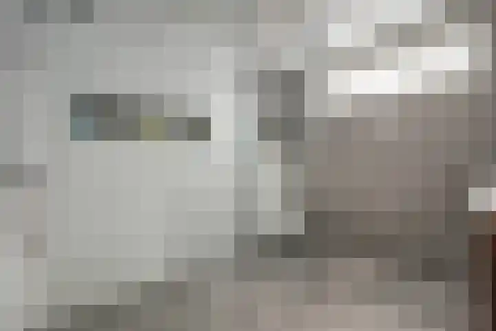 Oever 56 Brielle thumbnail 16