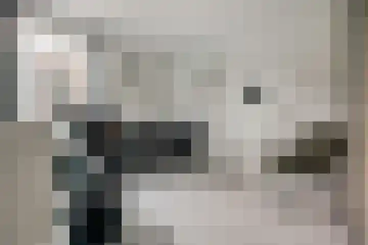 Oever 56 Brielle thumbnail 20