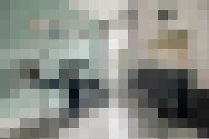 Oever 56 Brielle thumbnail 21