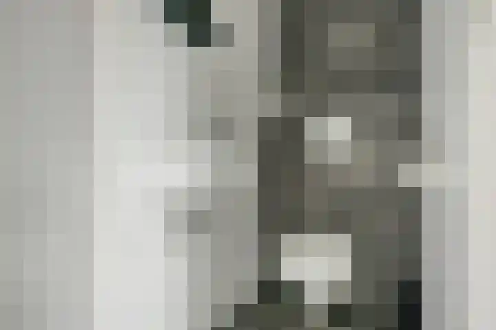 Oever 56 Brielle thumbnail 25