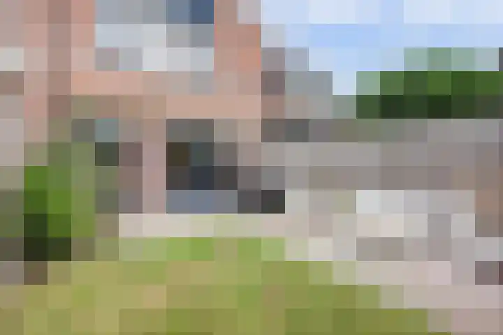 Oever 56 Brielle thumbnail 30