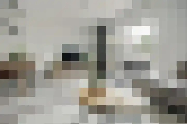 Oever 56 Brielle thumbnail 4