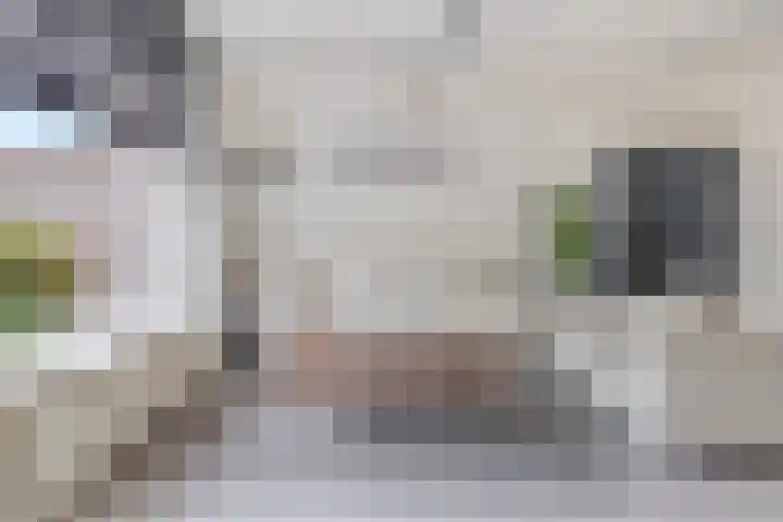 Oever 56 Brielle thumbnail 8