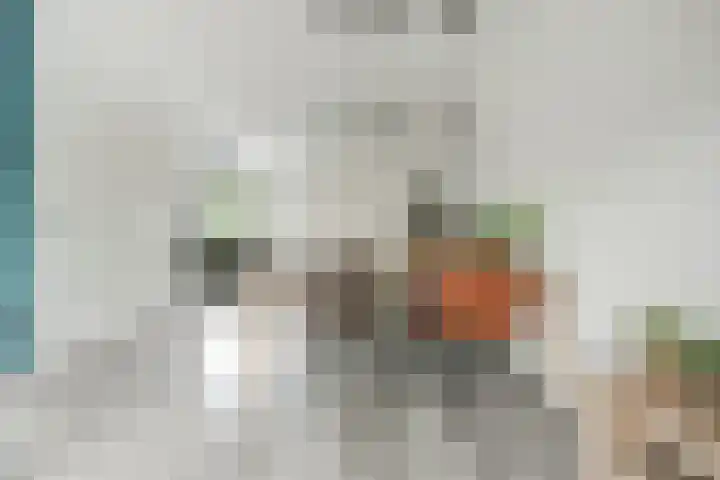 Oever 56 Brielle thumbnail 9