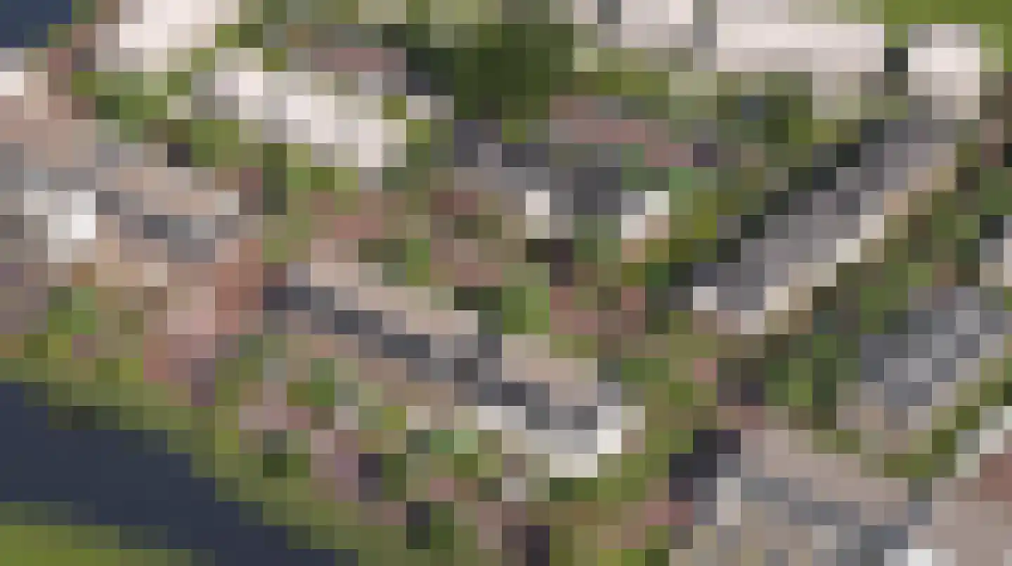Oever 64 Maassluis thumbnail 4