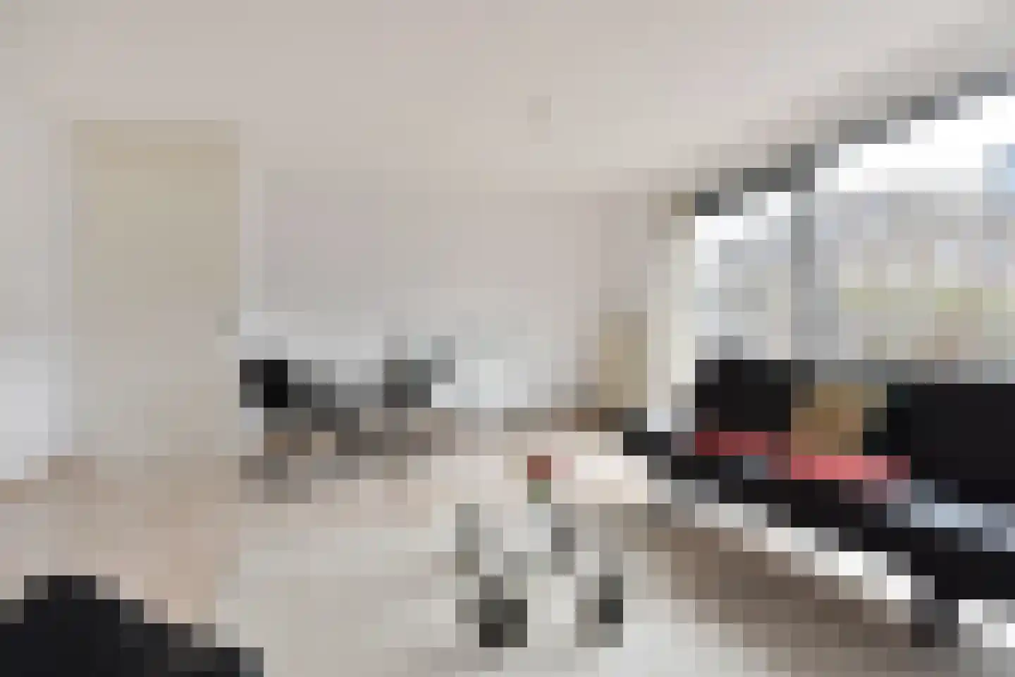 Oeverbiesstraat 5 Den Haag thumbnail 5