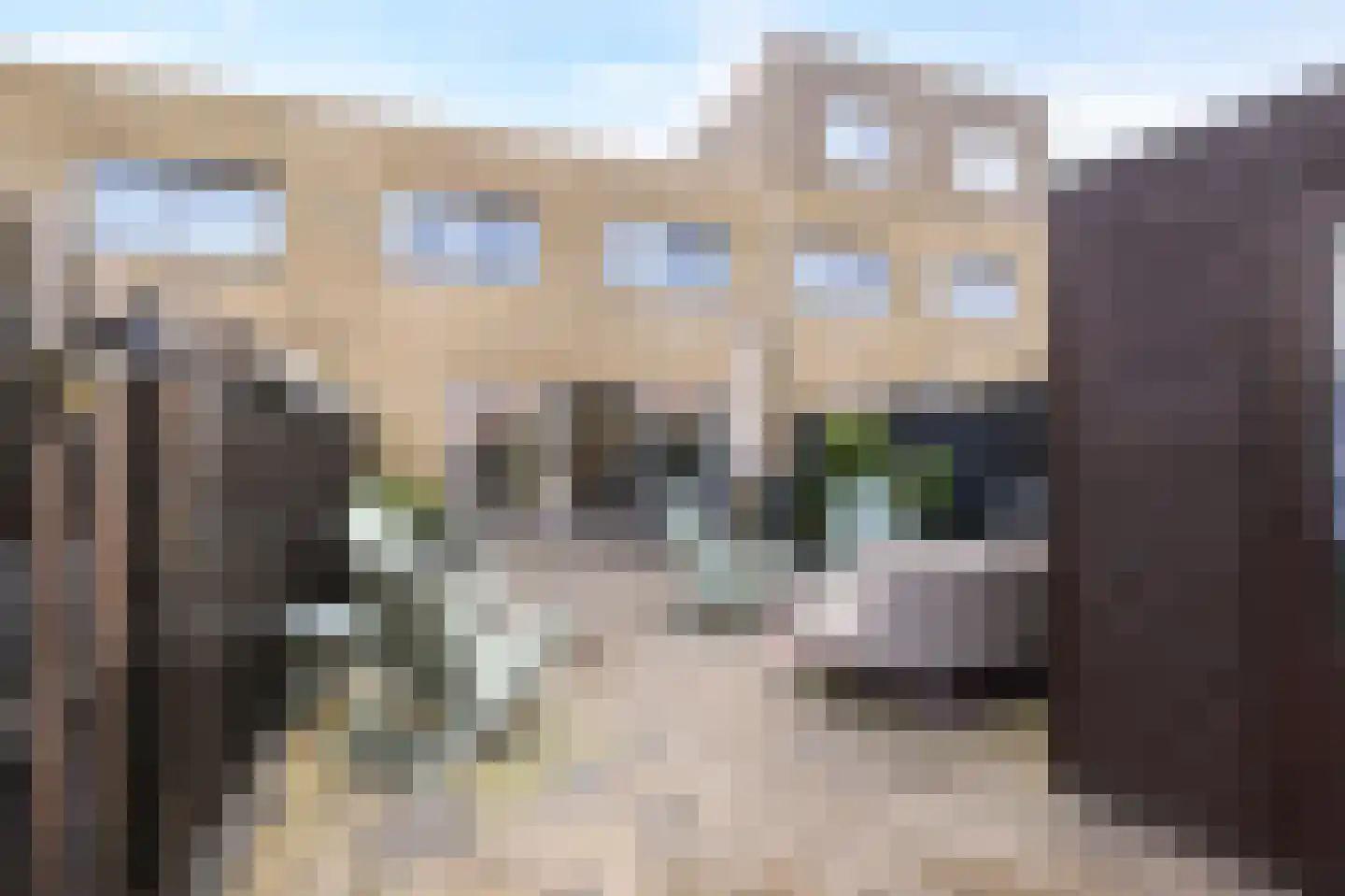 Oeverbiesstraat 8 Den Haag thumbnail 25