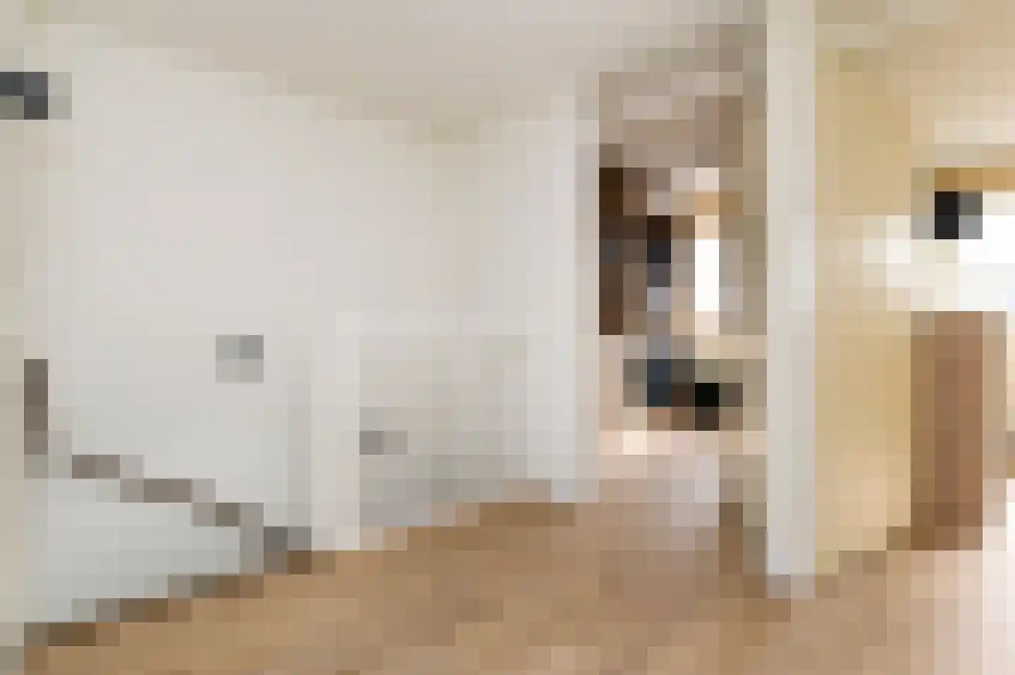 Oeverbiesstraat 8 Den Haag thumbnail 32