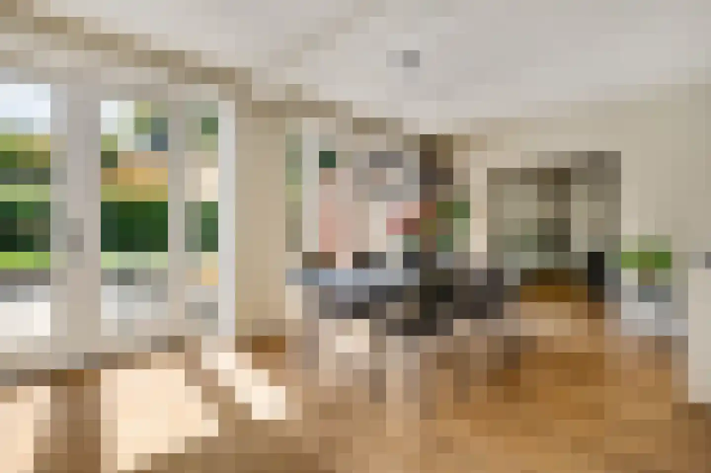 Oeveren 26 Linne thumbnail 13