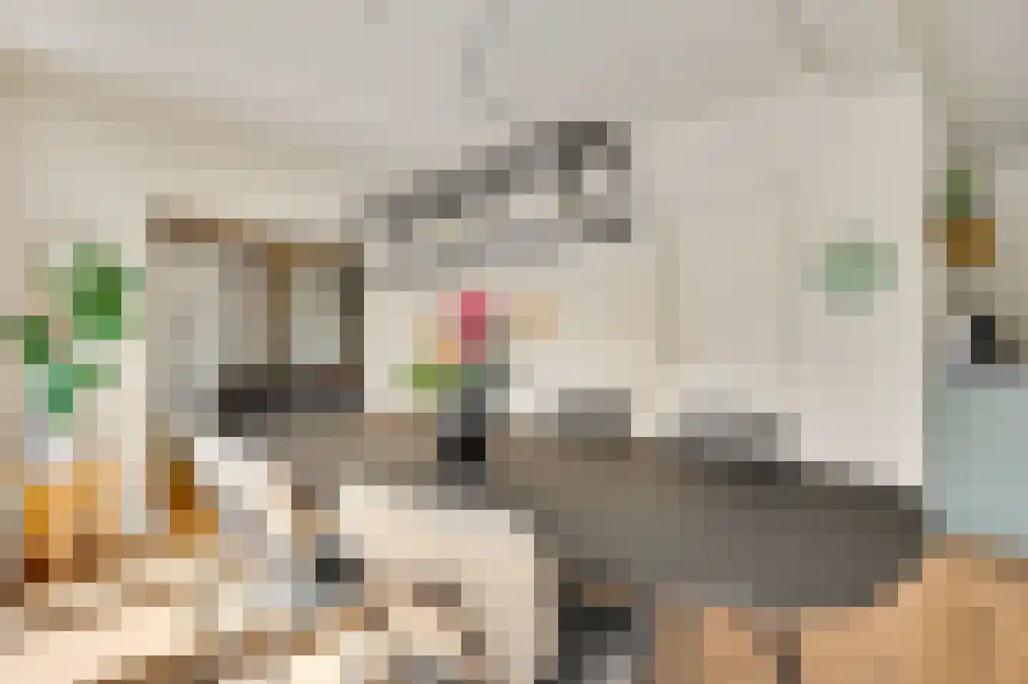 Oeveren 26 Linne thumbnail 14