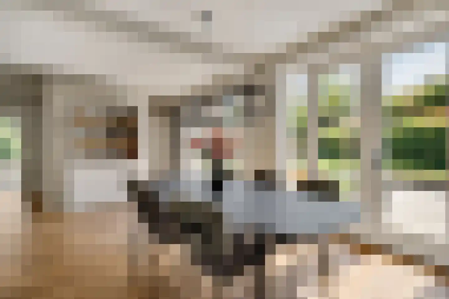Oeveren 26 Linne thumbnail 15